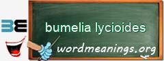 WordMeaning blackboard for bumelia lycioides